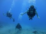 Hawaii Scuba divng 25