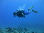 Hawaii Scuba divng 26