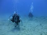 Hawaii Scuba divng 27