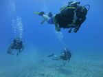 Hawaii Scuba divng 32