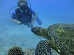 Hawaii Scuba divng 43