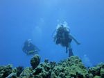 Hawaii Scuba divng 51