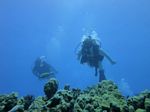 Hawaii Scuba divng 51