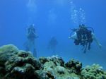 Hawaii Scuba divng 52