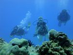 Hawaii Scuba divng 53