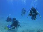 Hawaii Scuba divng 54