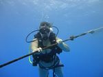 Hawaii Scuba divng 06