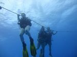 Hawaii Scuba divng 07