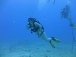 Hawaii Scuba divng 09