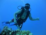 Hawaii Scuba divng 10