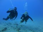 Hawaii Scuba divng 12