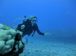 Hawaii Scuba divng 13