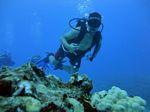 Hawaii Scuba divng 14