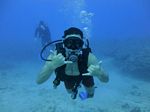 Hawaii Scuba divng 15