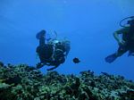 Hawaii Scuba divng 16