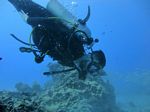 Hawaii Scuba divng 20