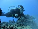 Hawaii Scuba divng 21