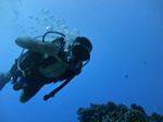 Hawaii Scuba divng 23