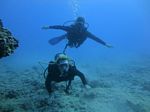 Hawaii Scuba divng 36