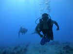 Hawaii Scuba divng 42