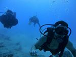 Hawaii Scuba divng 43