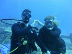 Hawaii Scuba divng 46