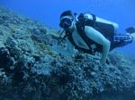 Hawaii Scuba divng 52