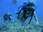 Hawaii Scuba divng 54