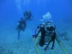 Hawaii Scuba divng 57