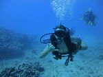 Hawaii Scuba divng 58