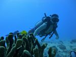 Hawaii Scuba divng 64