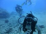 Hawaii Scuba divng 67