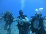 Hawaii Scuba divng 70