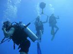 Hawaii Scuba divng 73