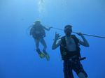 Hawaii Scuba divng 74