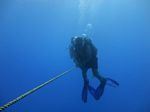 Hawaii Scuba divng 75