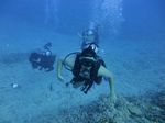 Hawaii Scuba divng 08