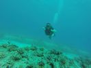 Hawaii Scuba divng 10