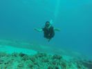 Hawaii Scuba divng 11