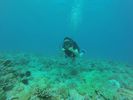 Hawaii Scuba divng 12