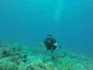 Hawaii Scuba divng 13