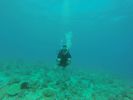 Hawaii Scuba divng 14