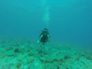 Hawaii Scuba divng 15