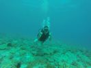 Hawaii Scuba divng 16