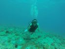 Hawaii Scuba divng 17