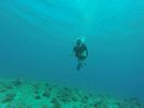 Hawaii Scuba divng 23