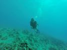 Hawaii Scuba divng 25