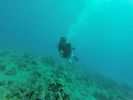 Hawaii Scuba divng 26