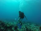 Hawaii Scuba divng 34