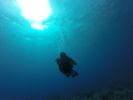 Hawaii Scuba divng 38